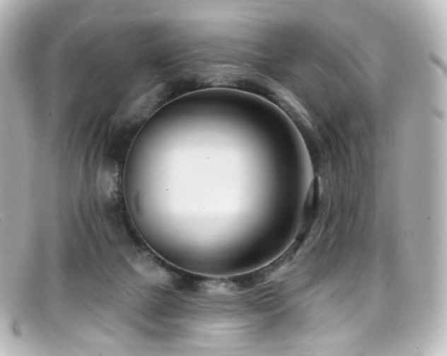 X0000099440073200805091322