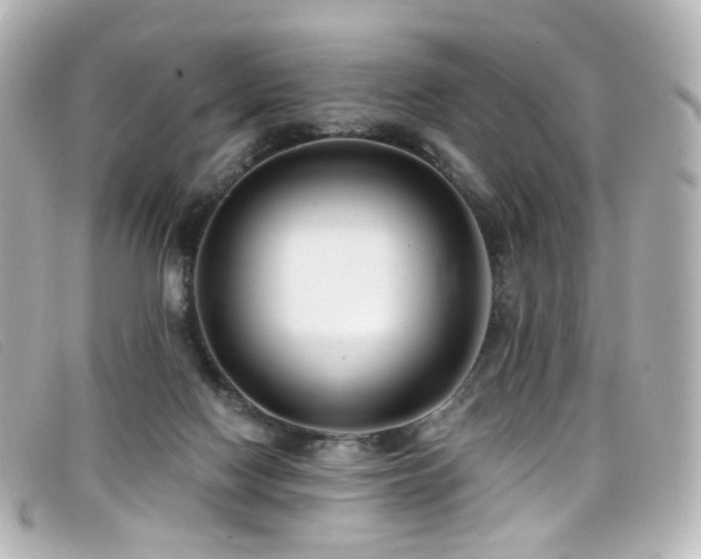 X0000099440074200805091322
