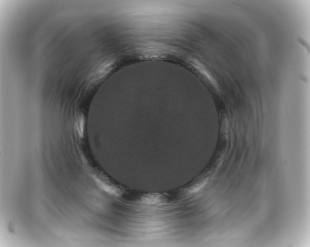 X0000099440076200805091322
