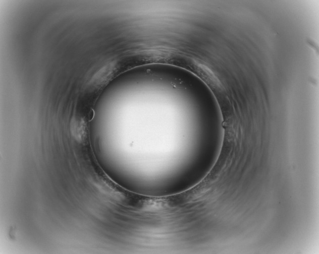 X0000099440077200805091322