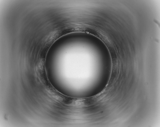 X0000099440078200805091322