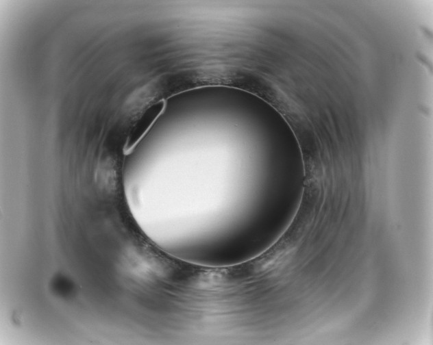 X0000099440080200805091322