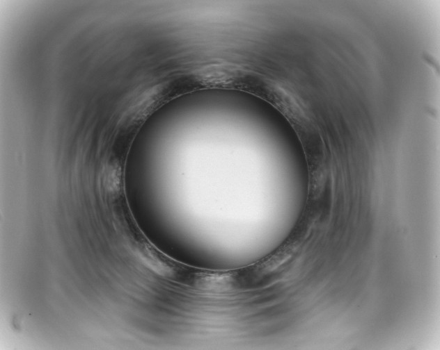 X0000099440081200805091322