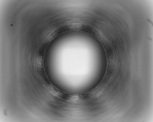 X0000099440083200805091322