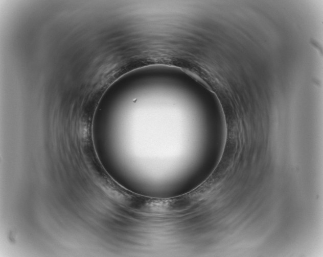 X0000099440084200805091322
