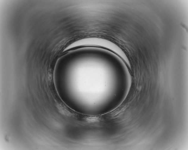 X0000099440085200805091322
