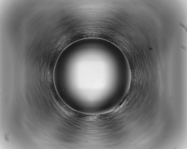 X0000099440086200805091322