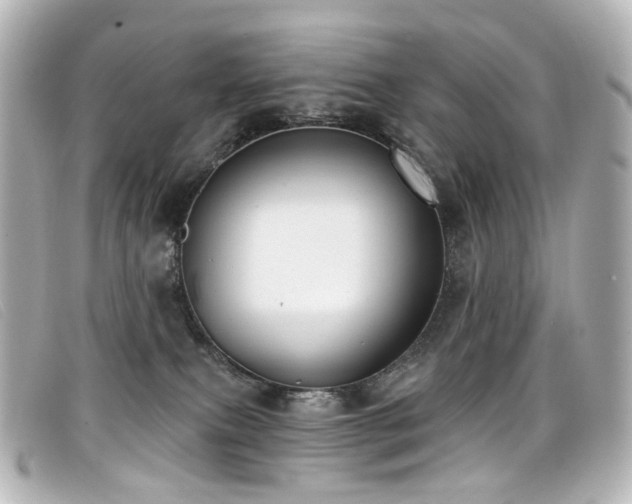 X0000099440087200805091322
