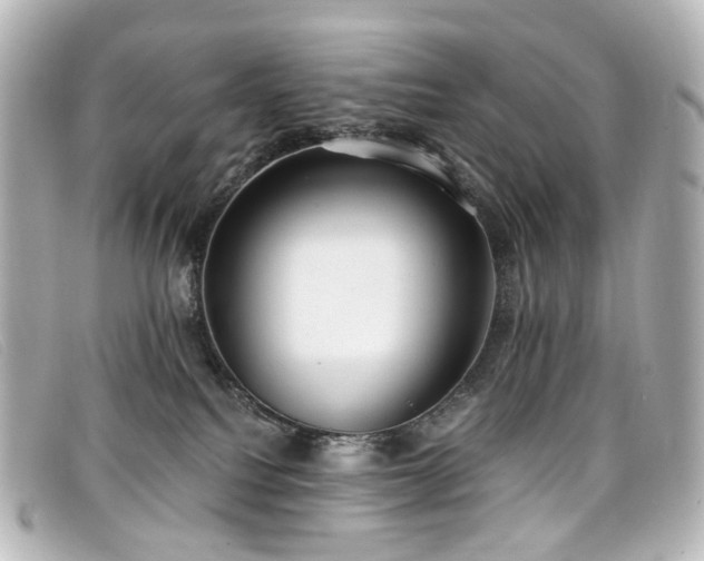 X0000099440088200805091322