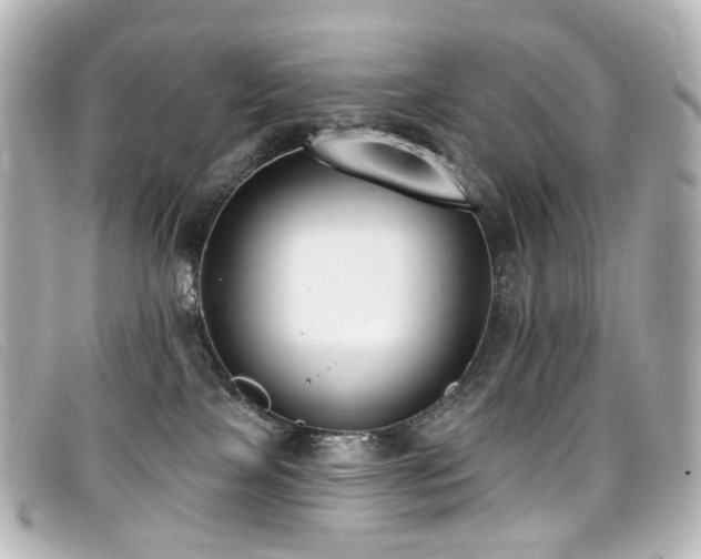 X0000099440089200805091322