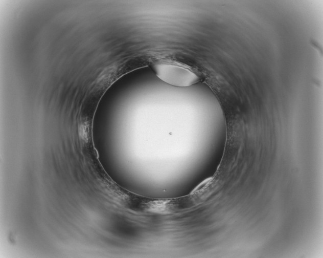 X0000099440090200805091322