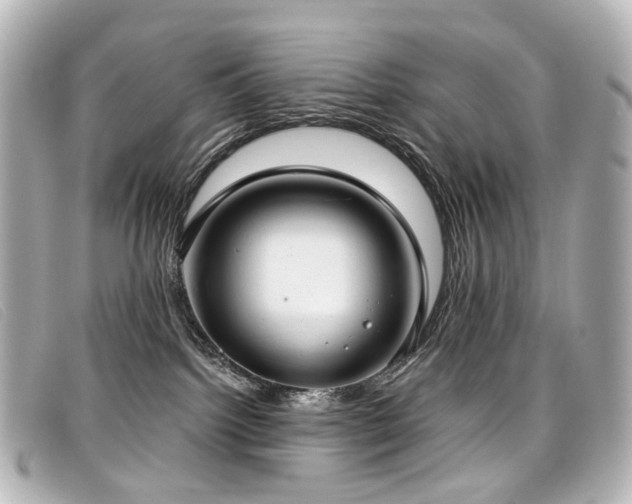 X0000099440092200805091322