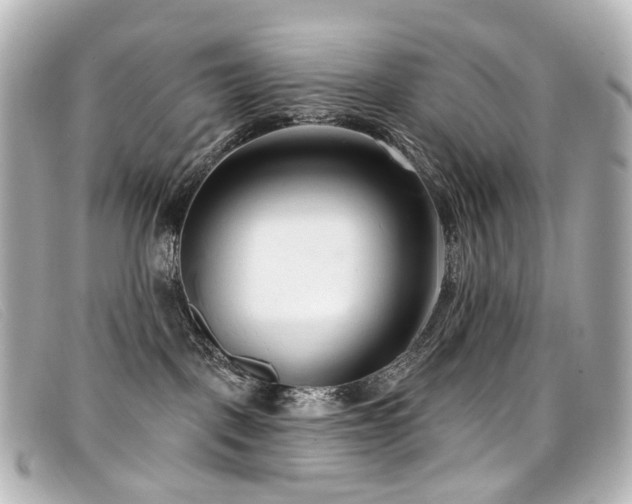 X0000099440093200805091322