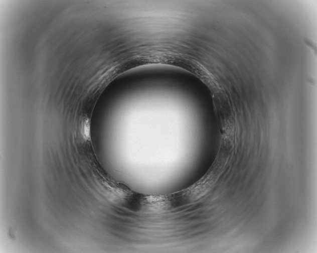 X0000099440095200805091322