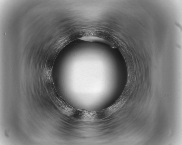 X0000099440096200805091322