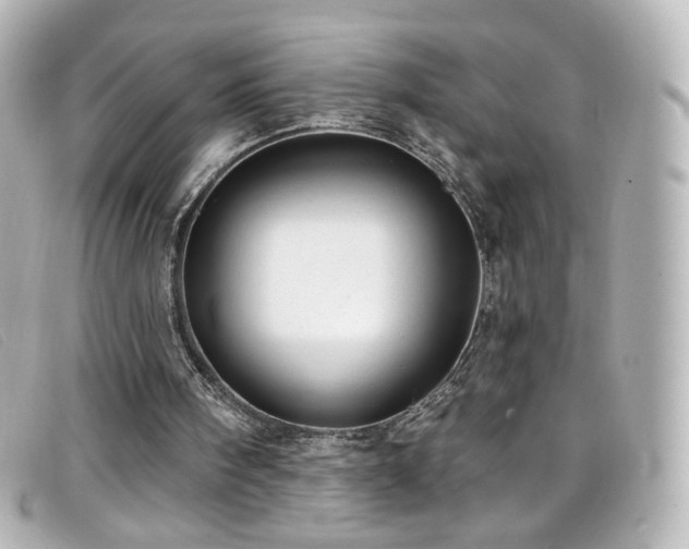 X0000099440098200805091322