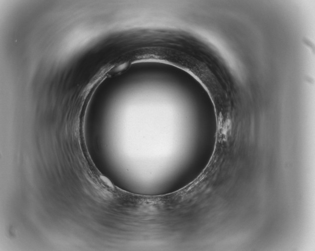 X0000099440099200805091321