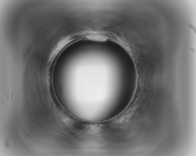 X0000099440103200805091321