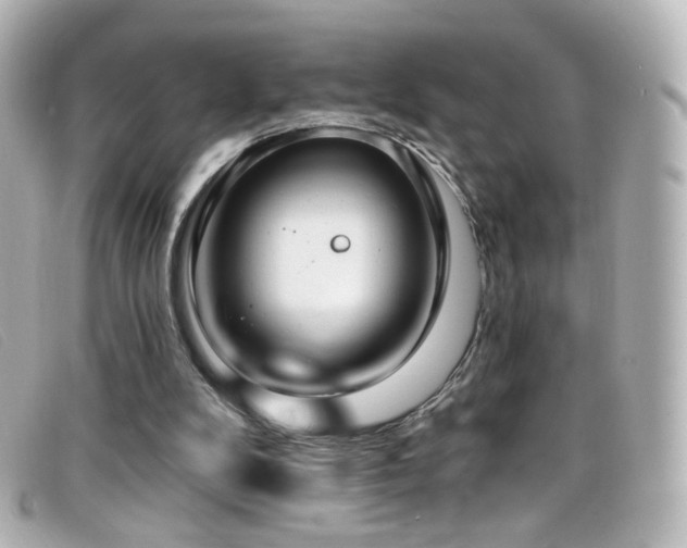 X0000099440104200805091321