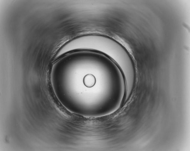 X0000099440105200805091321