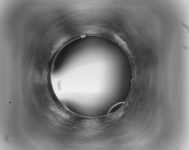 X0000099440106200805091321