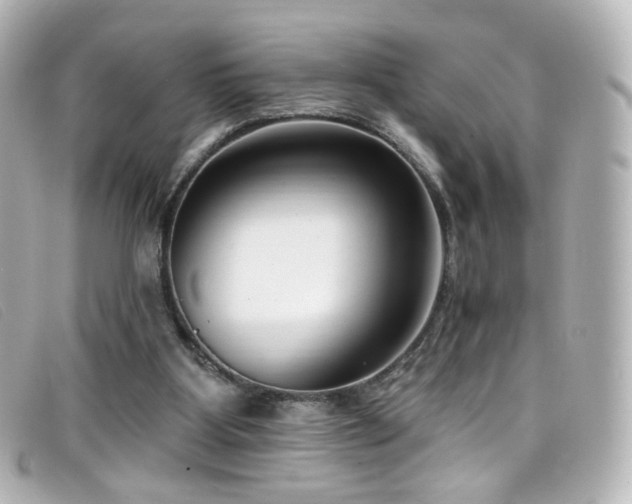 X0000099440107200805091321