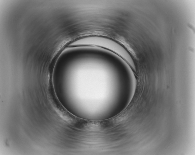 X0000099440110200805091321