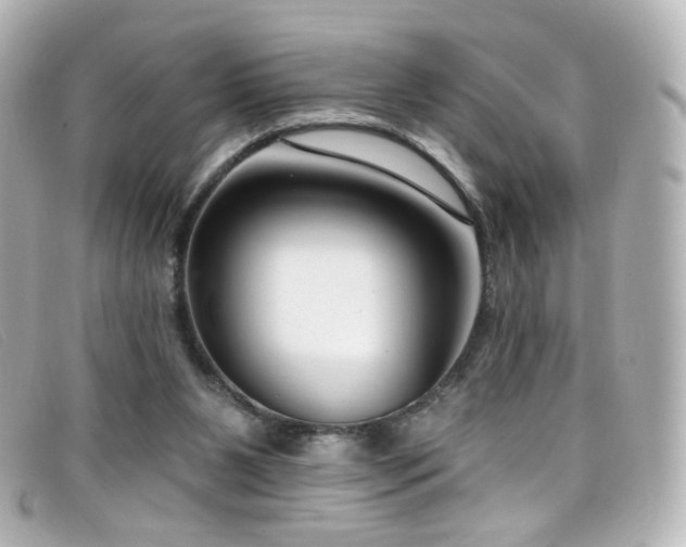 X0000099440111200805091321
