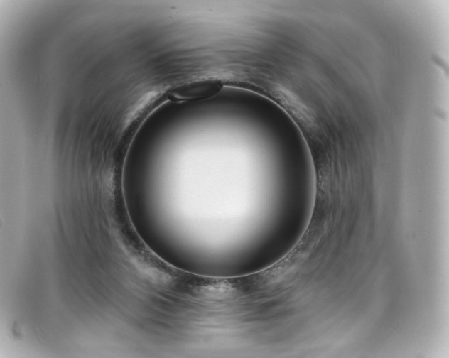 X0000099440112200805091321