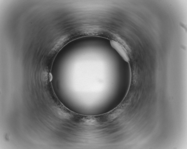 X0000099440113200805091321