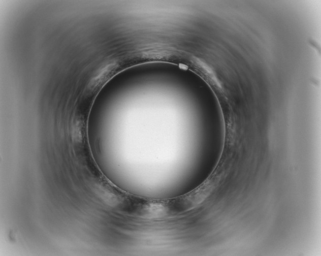 X0000099440114200805091321