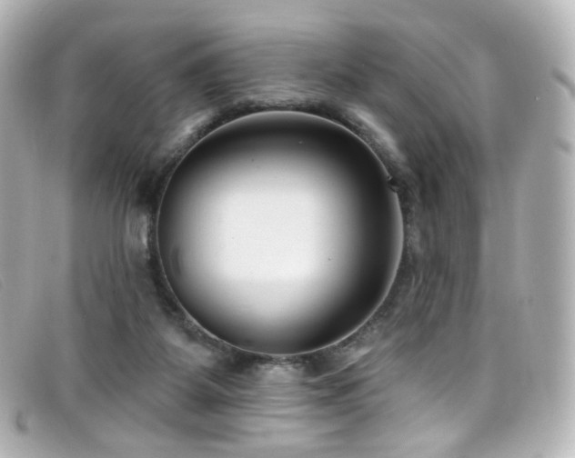 X0000099440115200805091321