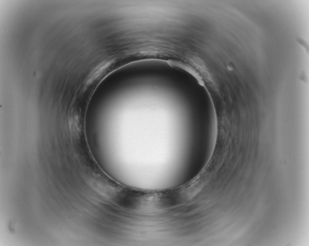 X0000099440116200805091321