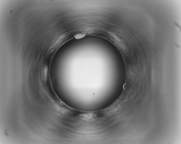 X0000099440118200805091321