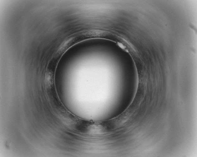 X0000099440119200805091321