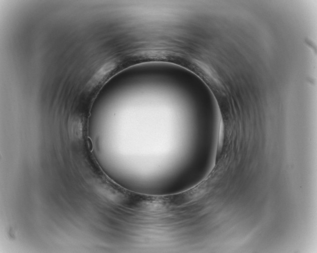 X0000099440120200805091321
