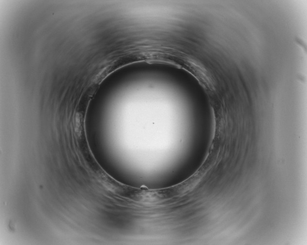X0000099440121200805091321