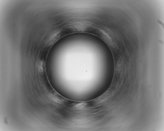 X0000099440122200805091321