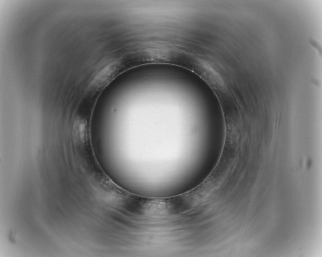 X0000099440123200805091321