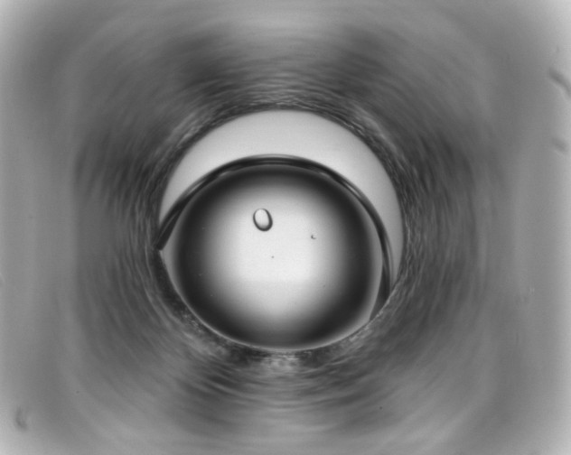 X0000099440124200805091321