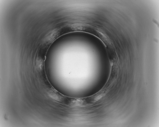 X0000099440125200805091321