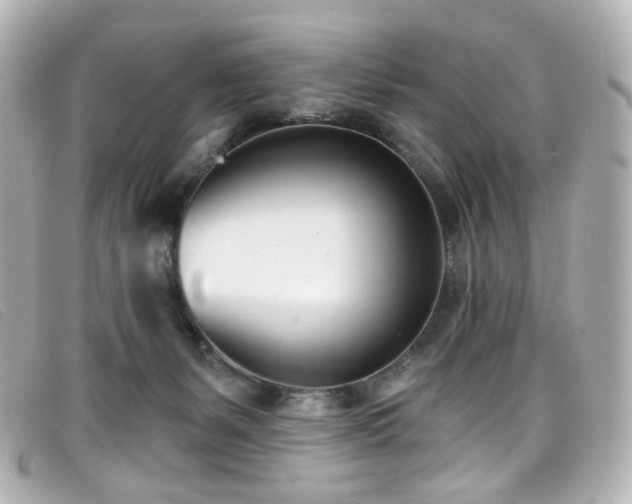 X0000099440127200805091321