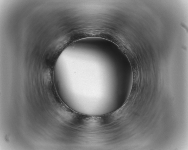 X0000099440128200805091321