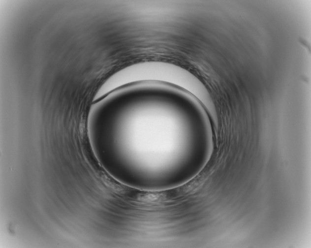 X0000099440129200805091321