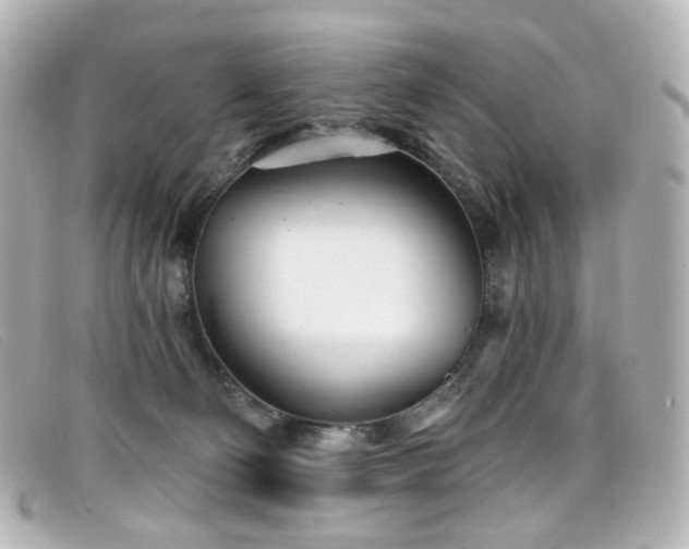 X0000099440130200805091321