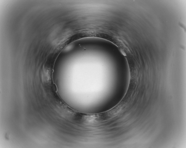 X0000099440131200805091321