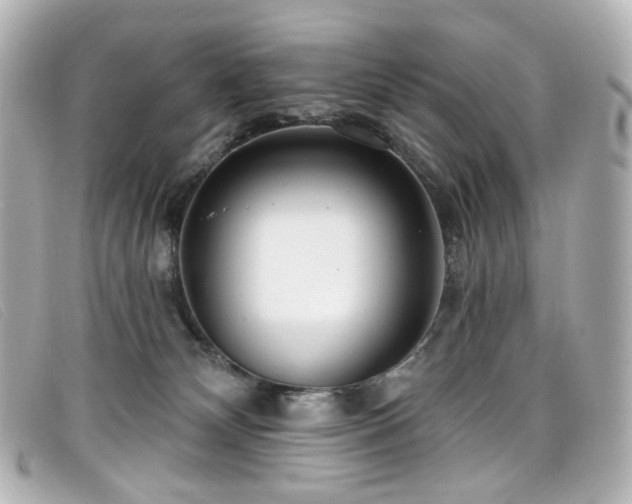 X0000099440132200805091321