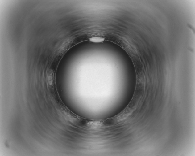 X0000099440133200805091321