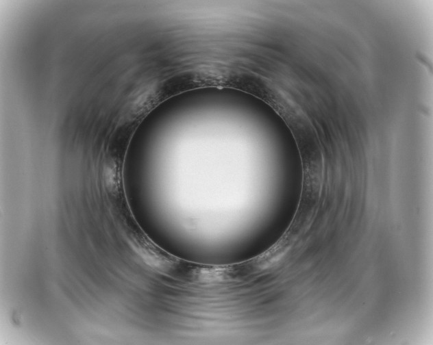 X0000099440134200805091321