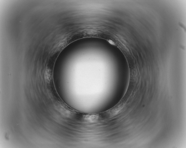 X0000099440135200805091321